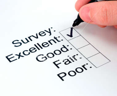 Do Online Surveys Really Work?