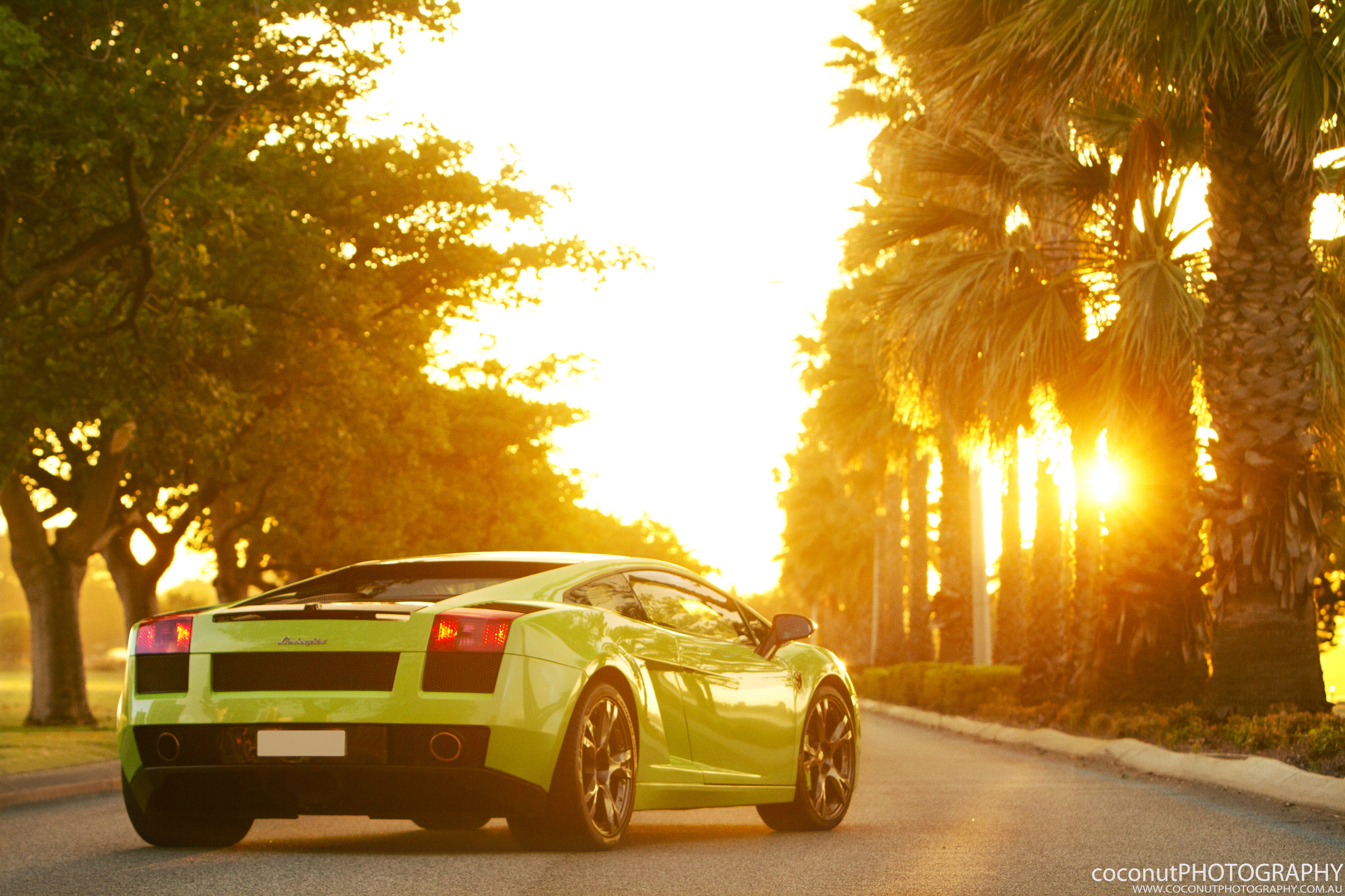 Машина к лету. Lamborghini Gallardo зеленый. Машина на рассвете. Автомобиль на закате. Яркие машины.