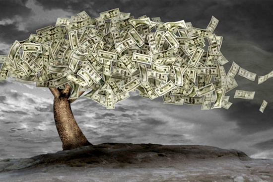 moneytree