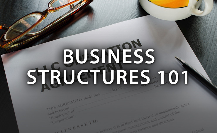 Business Structures 101