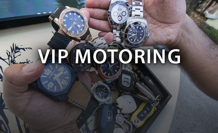 VIP Motoring Principles